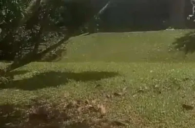 Chácara / sítio com 2 quartos à venda no Dos Finco, São Bernardo do Campo 