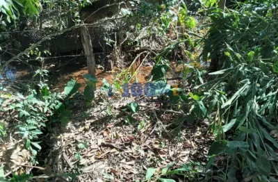 Chácara / sítio à venda no centro, borda da mata , 2000 m2 por r$ 150.000