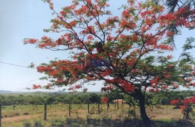 Fazenda à venda na virgílio justiniano ribeiro, 232, centro, unaí, 345 m2 por r$ 9.600.000