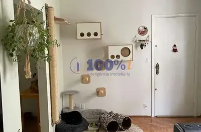 Apartamento com 2 quartos à venda na rua dom paulo de tarso campos, 42, vila joaquim inácio, campinas, 87 m2 por r$ 350.000
