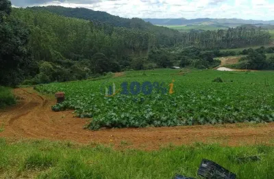 Chácara / sítio com 1 quarto à venda na rural, s/n, zona rural, andradas, 10 m2 por r$ 1.800.000
