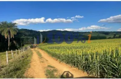 Fazenda à venda na rural, s/n, zona rural, espírito santo do pinhal, 96 m2 por r$ 22.000.000