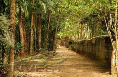 Ubatuba, praia da itamambuca vila - linda área com 5.000m2, escriturada, ideal para pousada, rua comercial
