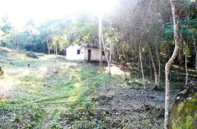 Área no prumirim, bem localizada, 80% plana, 105 mil m2.