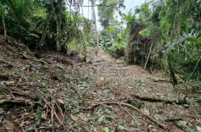 Oportunidade - ubatuba, praia do félix, terreno de 1.000m2, com licenciamento e projeto com 200m² aprovados