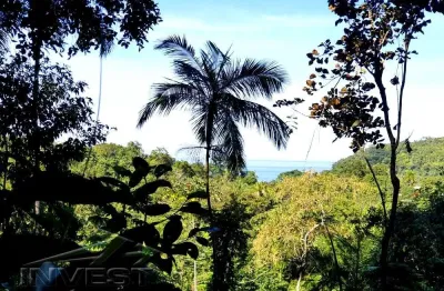 Ubatuba, praia do prumirim - terreno com liberação e projeto e vista mar, pronto para construir
