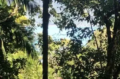Ubatuba, praia da domingas dias no lazaro - lindo terreno declive com vista mar 1200m2 - oportunidade