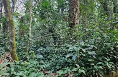 Ubatuba, praia do felix - lote em fase de licenciamento ambiental, lote de 1000m2, com proposta de libração de 30%
