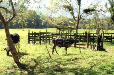 Ubatuba, bairro mato dentro - área com 3.828.000m2 ou 382.800ha, área para loteamento e tbm crédito carbono, documentação ok