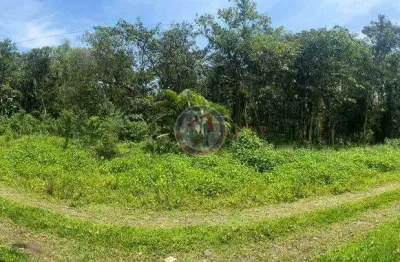 Terreno à venda na Avenida São Paulo, 2.381, Jardim Coronel, Itanhaém