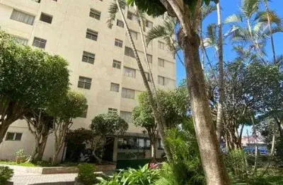 Apartamento a venda com 54 m2 com 2 dormitórios em vila jaraguá - são paulo - sp