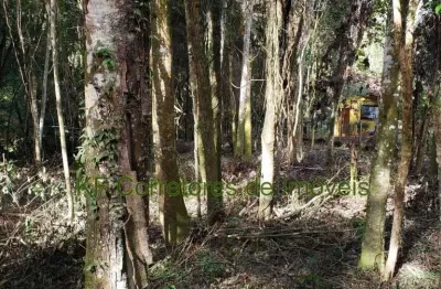 Terreno à venda na Rua José Cipriano De Freitas, 161, Centro, Ibiúna