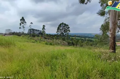 Terreno à venda na Rua José Cipriano De Freitas, 161, Centro, Ibiúna