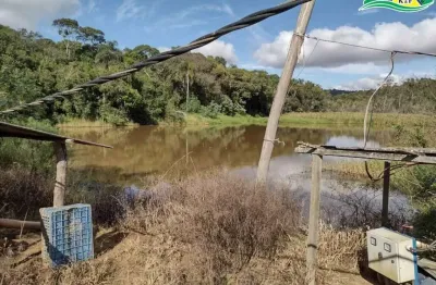 Chácara / sítio à venda na Rua José Cipriano De Freitas, 161, Centro, Ibiúna
