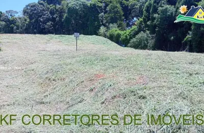 Terreno à venda na Rua José Cipriano De Freitas, Centro, Ibiúna