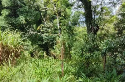 Terreno à venda na Rua José Cipriano De Freitas, 161,1199, Centro, Ibiúna