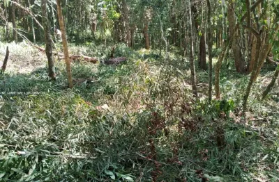 Terreno à venda na Rua José Cipriano De Freitas, 161,2001, Centro, Ibiúna
