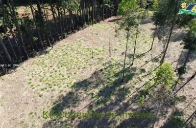 Terreno à venda na Rua José Cipriano De Freitas, 161.1285, Centro, Ibiúna
