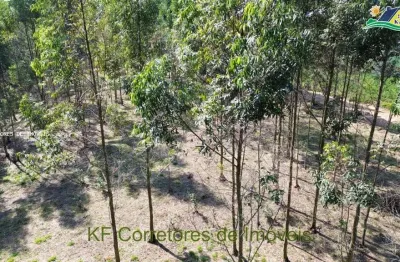 Terreno à venda na Rua José Cipriano De Freitas, 161.1286, Centro, Ibiúna