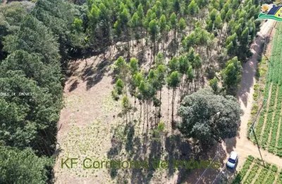 Terreno à venda na Rua José Cipriano De Freitas, 161.1287, Centro, Ibiúna