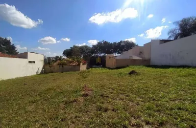 Terreno comercial para alugar no Jardim Califórnia, Ribeirão Preto 