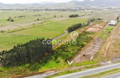 Terreno comercial à venda na Pedra de Amolar, Ilhota 