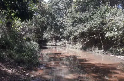 Terra na Zona Rural de Padre Bernardo de 20 hectares, com água, escritura e registro. Aceito carro