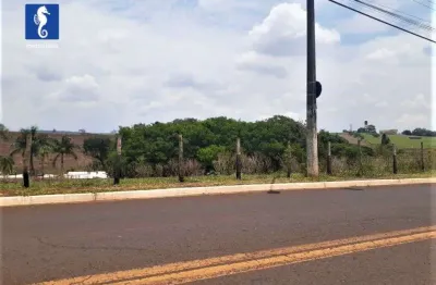 Terreno à venda, 18000 m² por r$ 2.500.000,00 - parque ribeirão preto - ribeirão preto/sp