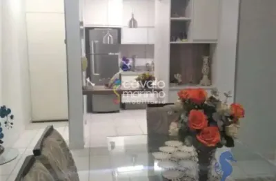 Apartamento à venda com 3 quartos, 66m² - jardim europa - lagoinha.