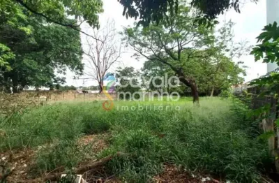 Terreno à venda na Rua Tabatinga, 1, Ipiranga, Ribeirão Preto