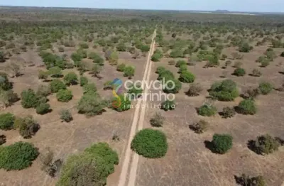 Fazenda à venda, 72600000 m² - zona rural - porto nacional/to
