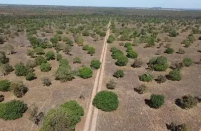 Fazenda à venda, 72600000 m² por r$ 225.000.000,00 - zona rural - porto nacional/to
