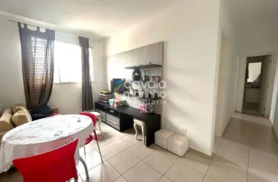 Apartamento á venda com 2 quartos, 46 m² - parque revitare residencial - jardim paulistano.