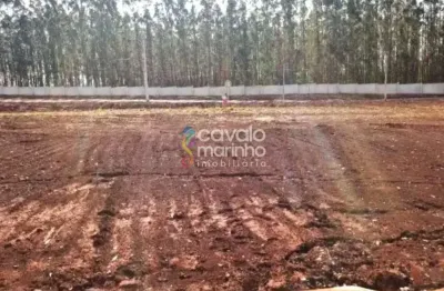 Terreno em condomínio à venda, 250m² - residencial quinta da mata i - recreio anhangüera.