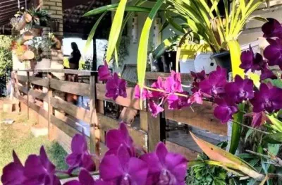 Chácara com 3 dormitórios à venda, 1980 m² por r$ 1.300.000,00 - fazenda castelo - boituva/sp