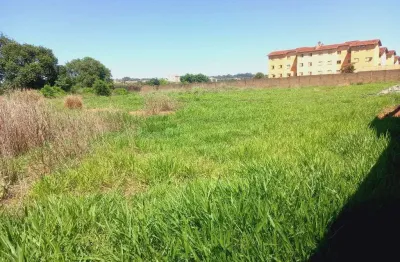 Terreno comercial à venda na Rua Álvaro de Lacerda Chaves, 1145, Ipiranga, Ribeirão Preto
