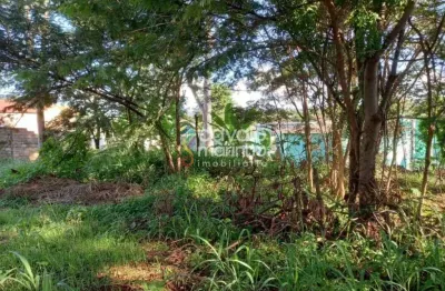 Terreno para alugar, 3000 m² - ribeirânia - ribeirão preto/sp