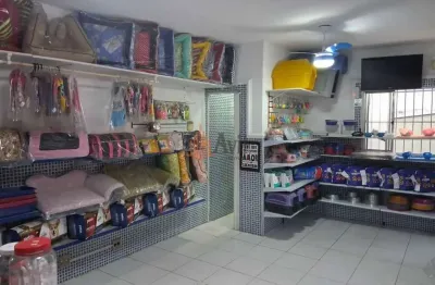 Barracão / Galpão / Depósito com 7 salas para alugar na Avenida Regente Feijó, 489, Vila Regente Feijó, São Paulo