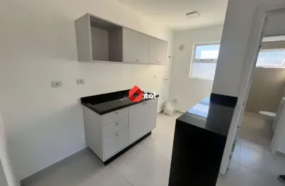 Apartamento para aluguel, 1 quarto, 1 vaga, ilha da figueira - jaraguá do sul/sc