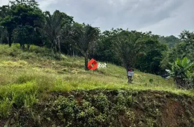 Terreno à venda no Ilha da Figueira, Jaraguá do Sul 