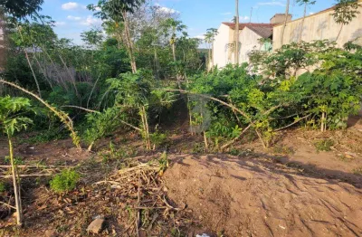 Terreno à venda no Bosque, Campinas 
