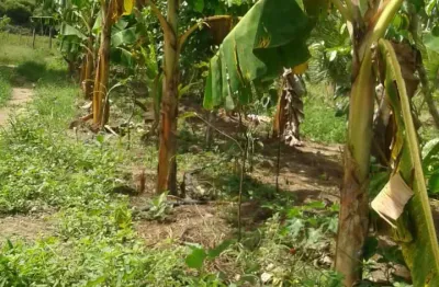 Chácara / sítio à venda na Avenida Brasil, 654, Centro, Itamaraju