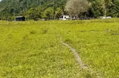 Fazenda com 1 sala à venda na Rodovia BR-101, 890, Centro, Eunápolis