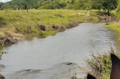 Fazenda com 1 sala à venda na Rodovia BR-101, 890, Centro, Eunápolis