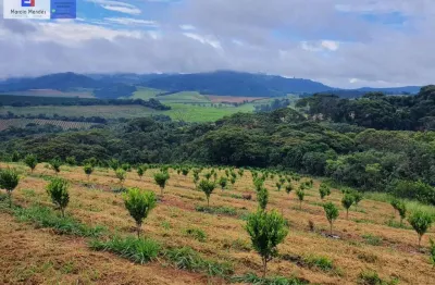 Fazenda para venda em campanha, sem bairro, 3 dormitórios, 2 suítes, 3 banheiros
