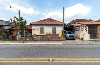 Terreno para alugar, 600 m² por r$ 7.000,00/mês - vila albertina - são paulo/sp