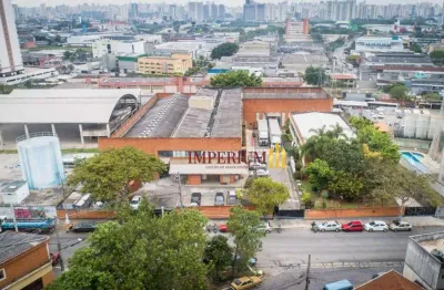 Galpão para alugar, 5000 m² por r$ 192.000,00/mês - vila siqueira - são paulo/sp