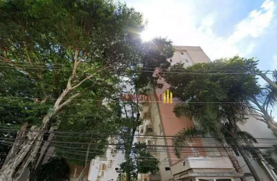 Apartamento com 2 dormitórios à venda, 46 m² por R$ 375.000,00 - Vila Amália - São Paulo/SP