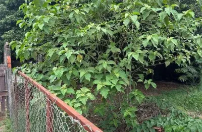 Terreno à venda na Rua Alberto de Salvo, 10, Jardim Santa Genebra II (Barão Geraldo), Campinas