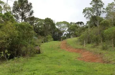 Chácara / sítio à venda na estrada geral, penha, paulo lopes por r$ 3.900.000